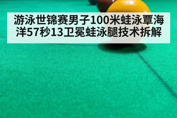 游泳世锦赛男子100米蛙泳覃海洋57秒13卫冕蛙泳腿技术拆解 - yaxin