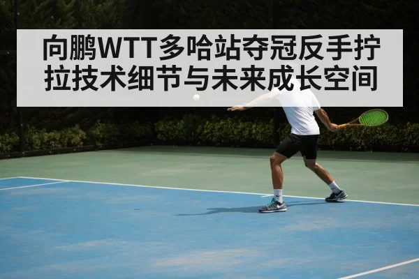 向鹏WTT多哈站夺冠反手拧拉技术细节与未来成长空间
